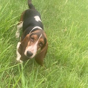 Meet your Posher, Brad